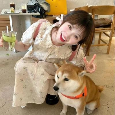 查莉成长日记第三季